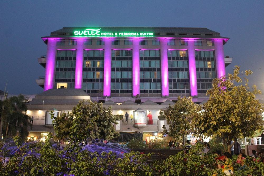 Svelte Delhi, A Member Of Radisson Individuals Hotel New Delhi Eksteriør billede